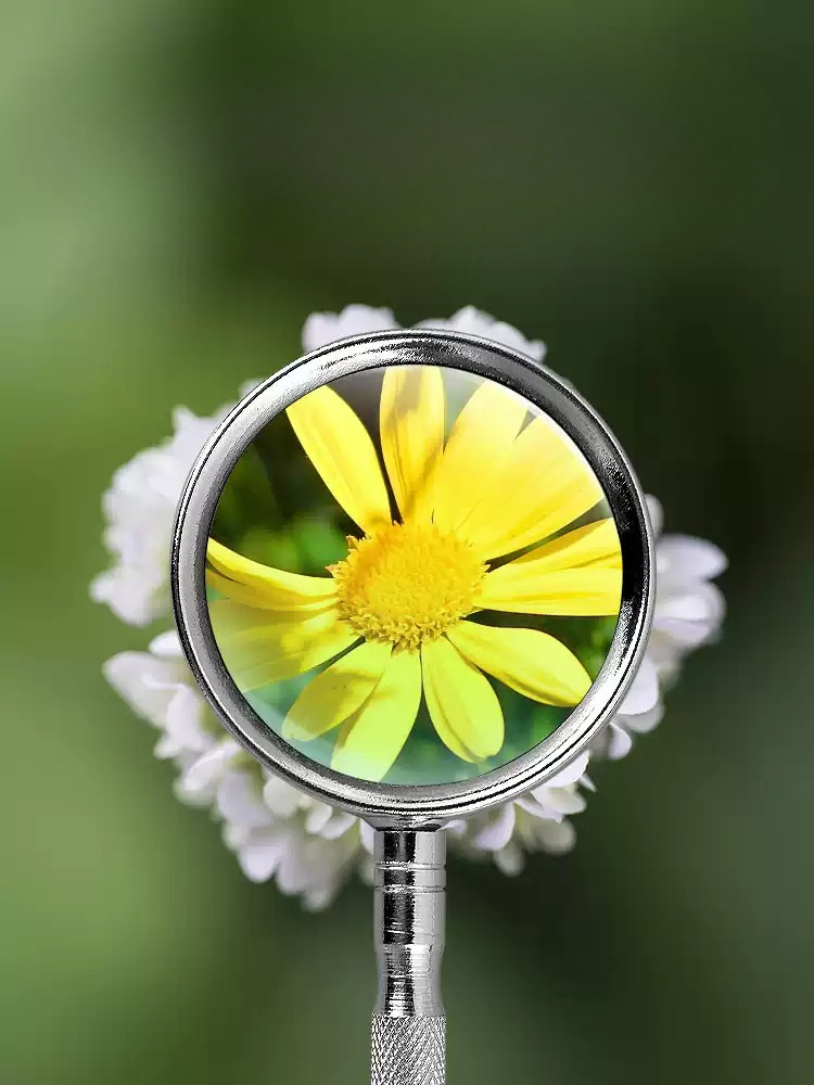 10X 20X Handheld Magnifying Gl - огляд і ціна Hobby Is Science